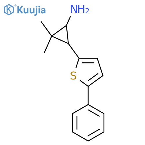 2,2-dimethyl-3-(5-phenylthiophen-2-yl)cyclopropan-1-amine structure