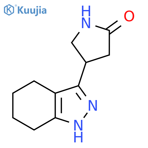 4-(4,5,6,7-tetrahydro-1H-indazol-3-yl)pyrrolidin-2-one structure