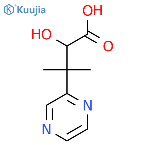 2-hydroxy-3-methyl-3-(pyrazin-2-yl)butanoic acid structure