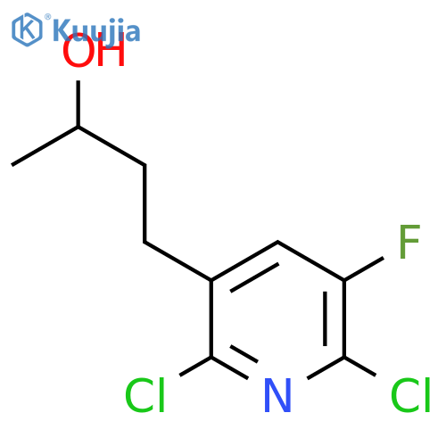 4-(2,6-dichloro-5-fluoropyridin-3-yl)butan-2-ol structure