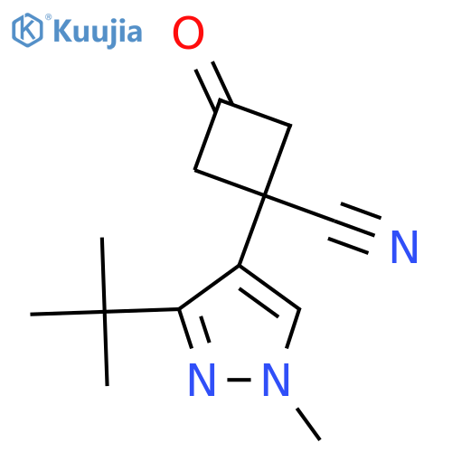 1-(3-tert-butyl-1-methyl-1H-pyrazol-4-yl)-3-oxocyclobutane-1-carbonitrile structure