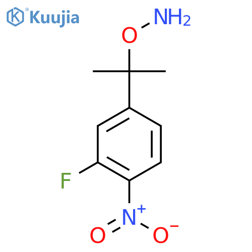 O-2-(3-fluoro-4-nitrophenyl)propan-2-ylhydroxylamine structure