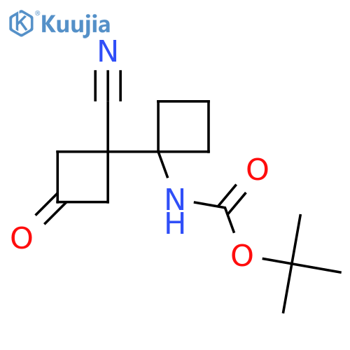 tert-butyl N-1-(1-cyano-3-oxocyclobutyl)cyclobutylcarbamate structure