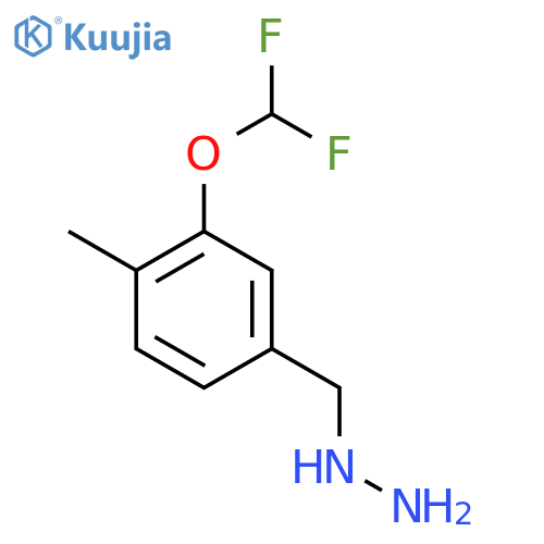 {3-(difluoromethoxy)-4-methylphenylmethyl}hydrazine structure