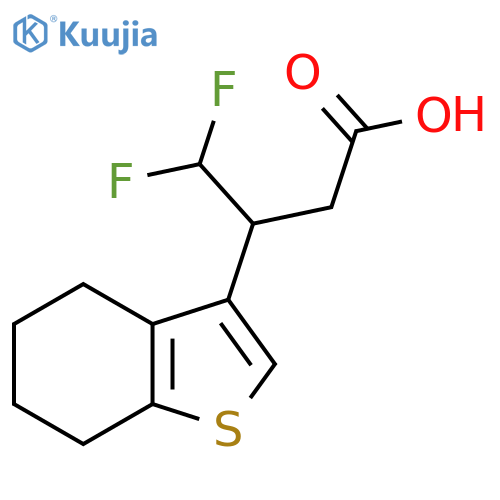 4,4-difluoro-3-(4,5,6,7-tetrahydro-1-benzothiophen-3-yl)butanoic acid structure