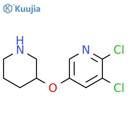 2,3-dichloro-5-(piperidin-3-yloxy)pyridine structure