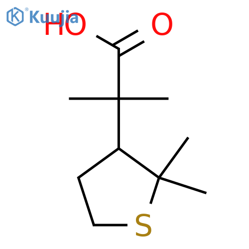 2-(2,2-dimethylthiolan-3-yl)-2-methylpropanoic acid structure