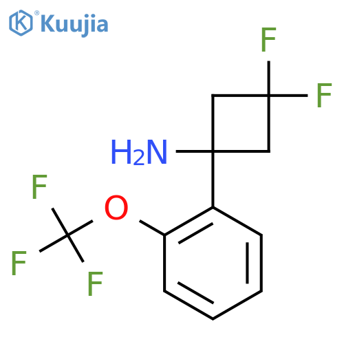 3,3-difluoro-1-2-(trifluoromethoxy)phenylcyclobutan-1-amine structure