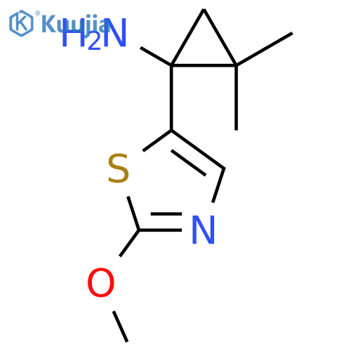 1-(2-methoxy-1,3-thiazol-5-yl)-2,2-dimethylcyclopropan-1-amine structure