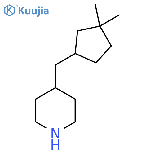 4-(3,3-dimethylcyclopentyl)methylpiperidine structure