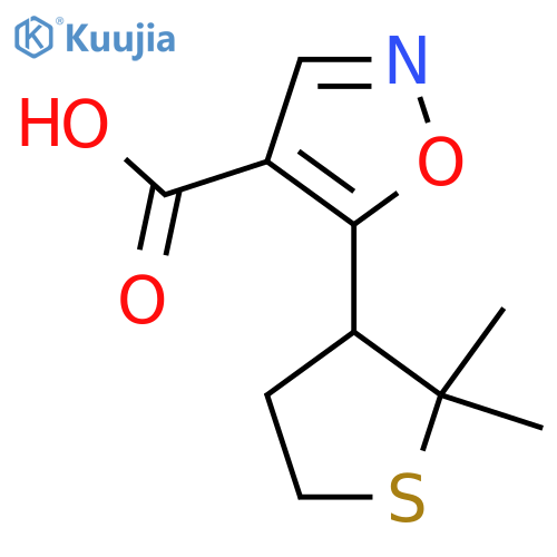 5-(2,2-dimethylthiolan-3-yl)-1,2-oxazole-4-carboxylic acid structure