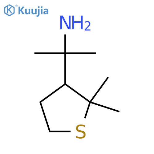 2-(2,2-dimethylthiolan-3-yl)propan-2-amine structure