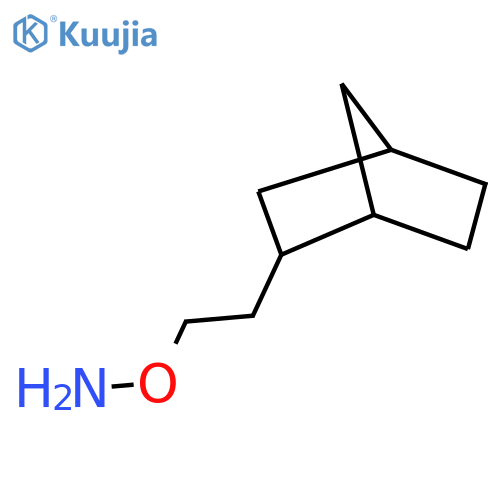 O-(2-{bicyclo2.2.1heptan-2-yl}ethyl)hydroxylamine structure
