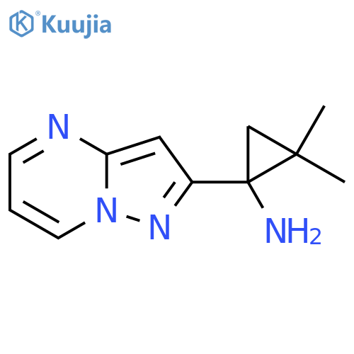2,2-dimethyl-1-{pyrazolo1,5-apyrimidin-2-yl}cyclopropan-1-amine structure