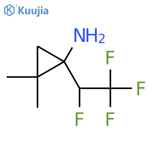 2,2-dimethyl-1-(1,2,2,2-tetrafluoroethyl)cyclopropan-1-amine structure