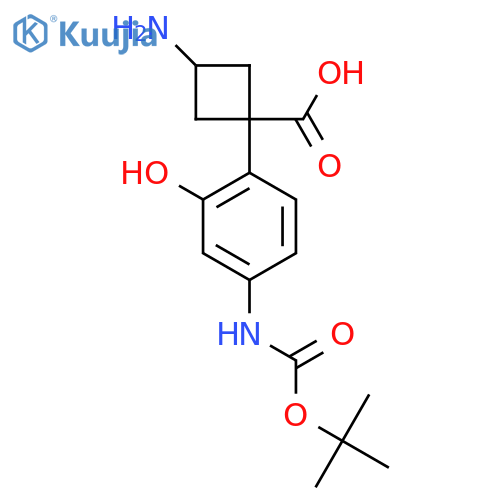 3-amino-1-(4-{(tert-butoxy)carbonylamino}-2-hydroxyphenyl)cyclobutane-1-carboxylic acid structure