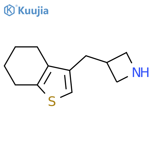 3-(4,5,6,7-tetrahydro-1-benzothiophen-3-yl)methylazetidine structure