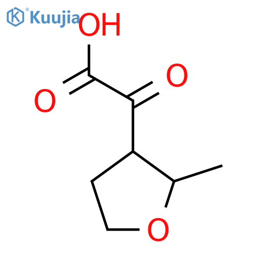 2-(2-methyloxolan-3-yl)-2-oxoacetic acid structure