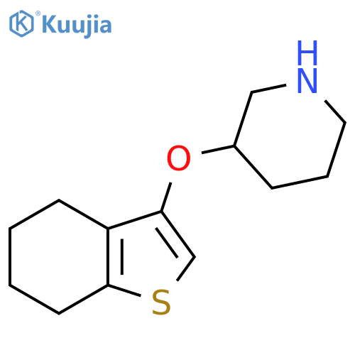 3-(4,5,6,7-tetrahydro-1-benzothiophen-3-yloxy)piperidine structure