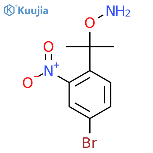 O-2-(4-bromo-2-nitrophenyl)propan-2-ylhydroxylamine structure