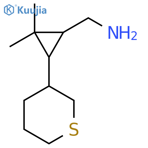 2,2-dimethyl-3-(thian-3-yl)cyclopropylmethanamine structure