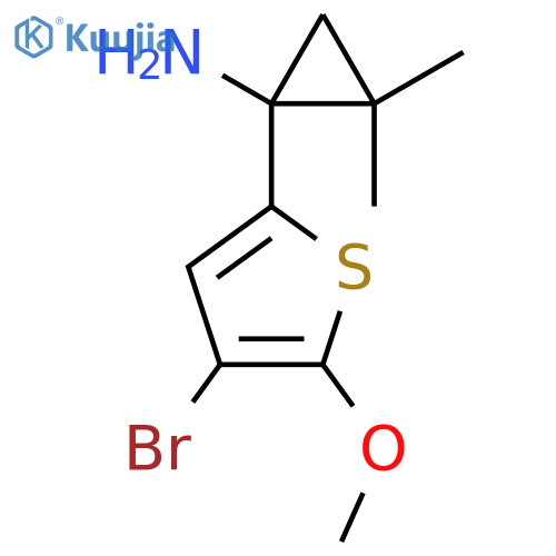 1-(4-bromo-5-methoxythiophen-2-yl)-2,2-dimethylcyclopropan-1-amine structure