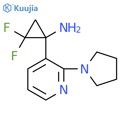 2,2-difluoro-1-2-(pyrrolidin-1-yl)pyridin-3-ylcyclopropan-1-amine structure
