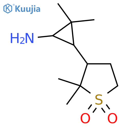 3-(3-amino-2,2-dimethylcyclopropyl)-2,2-dimethyl-1lambda6-thiolane-1,1-dione structure