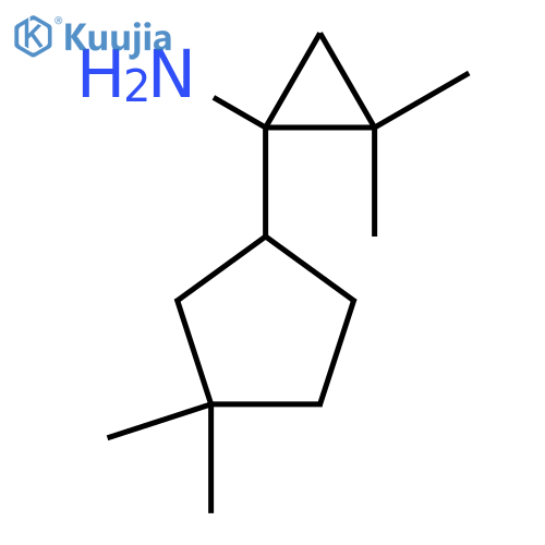 1-(3,3-dimethylcyclopentyl)-2,2-dimethylcyclopropan-1-amine structure