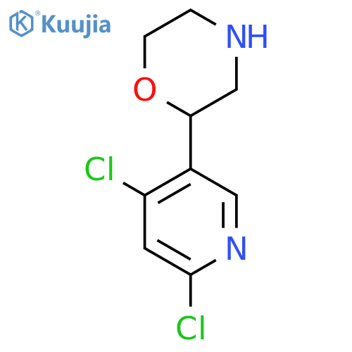 2-(4,6-dichloropyridin-3-yl)morpholine structure