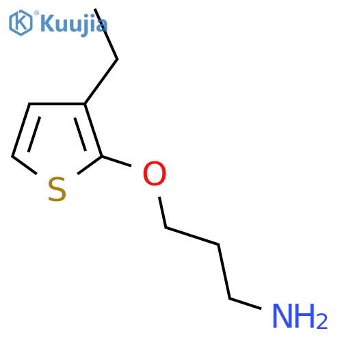 3-(3-ethylthiophen-2-yl)oxypropan-1-amine structure