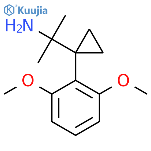 2-1-(2,6-dimethoxyphenyl)cyclopropylpropan-2-amine structure