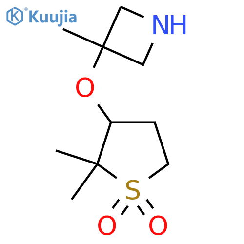 2,2-dimethyl-3-(3-methylazetidin-3-yl)oxy-1lambda6-thiolane-1,1-dione structure