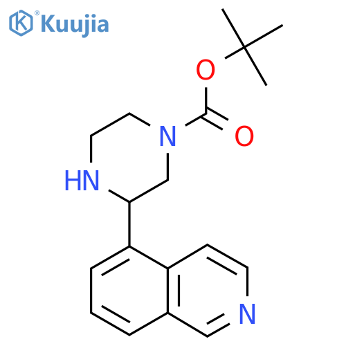 tert-butyl 3-(isoquinolin-5-yl)piperazine-1-carboxylate structure