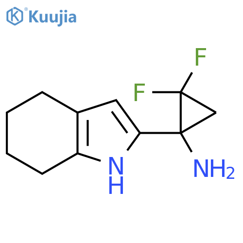 2,2-difluoro-1-(4,5,6,7-tetrahydro-1H-indol-2-yl)cyclopropan-1-amine structure