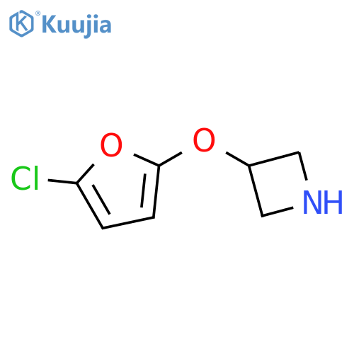 3-(5-chlorofuran-2-yl)oxyazetidine structure