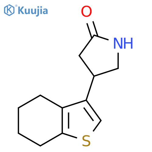 4-(4,5,6,7-tetrahydro-1-benzothiophen-3-yl)pyrrolidin-2-one structure