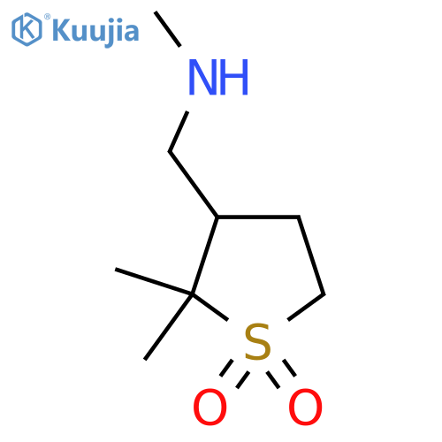 2,2-dimethyl-3-(methylamino)methyl-1lambda6-thiolane-1,1-dione structure