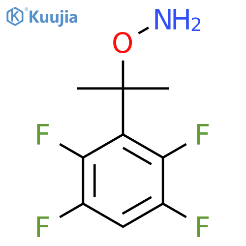 O-2-(2,3,5,6-tetrafluorophenyl)propan-2-ylhydroxylamine structure
