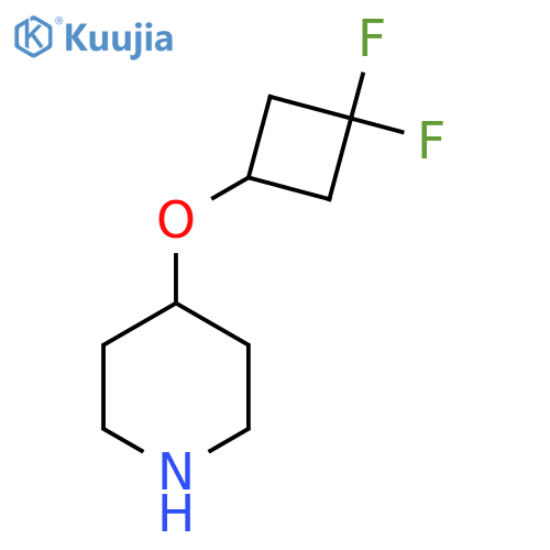 4-(3,3-difluorocyclobutoxy)piperidine structure