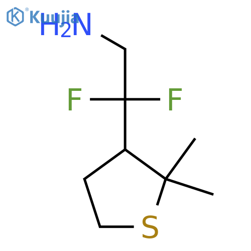 2-(2,2-Dimethylthiolan-3-yl)-2,2-difluoroethan-1-amine structure