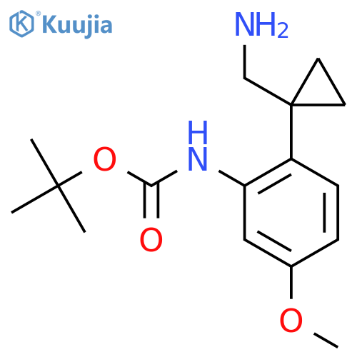 tert-butyl N-{2-1-(aminomethyl)cyclopropyl-5-methoxyphenyl}carbamate structure