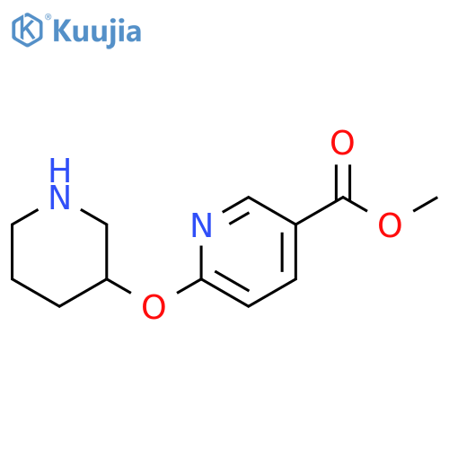 methyl 6-(piperidin-3-yloxy)pyridine-3-carboxylate structure