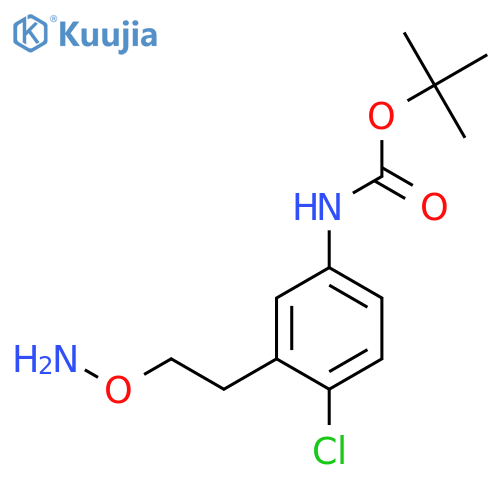 tert-butyl N-{3-2-(aminooxy)ethyl-4-chlorophenyl}carbamate structure