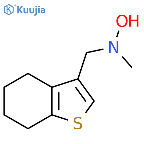 N-methyl-N-(4,5,6,7-tetrahydro-1-benzothiophen-3-yl)methylhydroxylamine structure