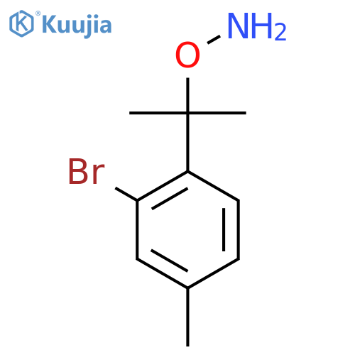 O-2-(2-bromo-4-methylphenyl)propan-2-ylhydroxylamine structure