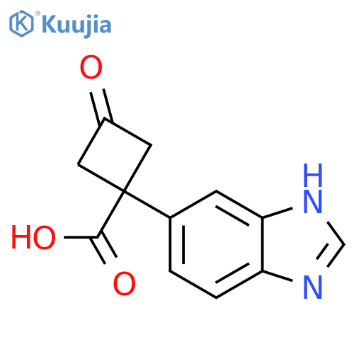 1-(1H-1,3-benzodiazol-5-yl)-3-oxocyclobutane-1-carboxylic acid structure