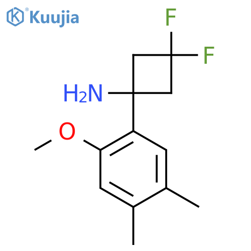 3,3-difluoro-1-(2-methoxy-4,5-dimethylphenyl)cyclobutan-1-amine structure
