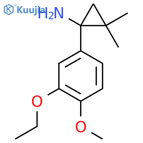 1-(3-ethoxy-4-methoxyphenyl)-2,2-dimethylcyclopropan-1-amine structure