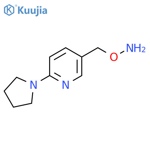 O-{6-(pyrrolidin-1-yl)pyridin-3-ylmethyl}hydroxylamine structure